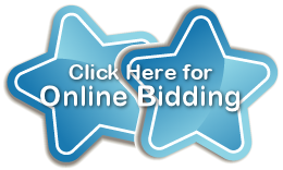 online-bidding